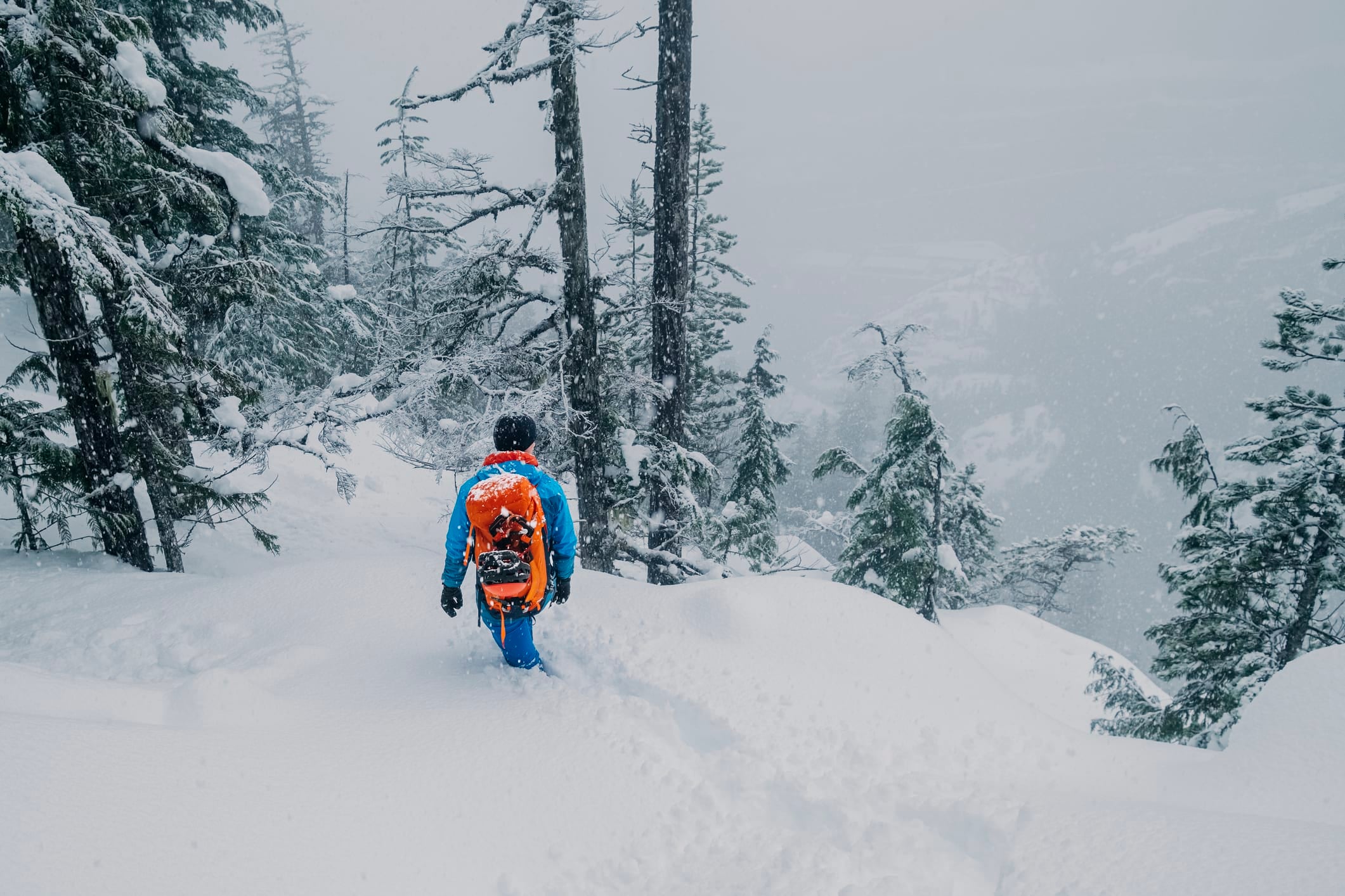 La Niña Returns: What It Might Mean for Winter Weather - Powder